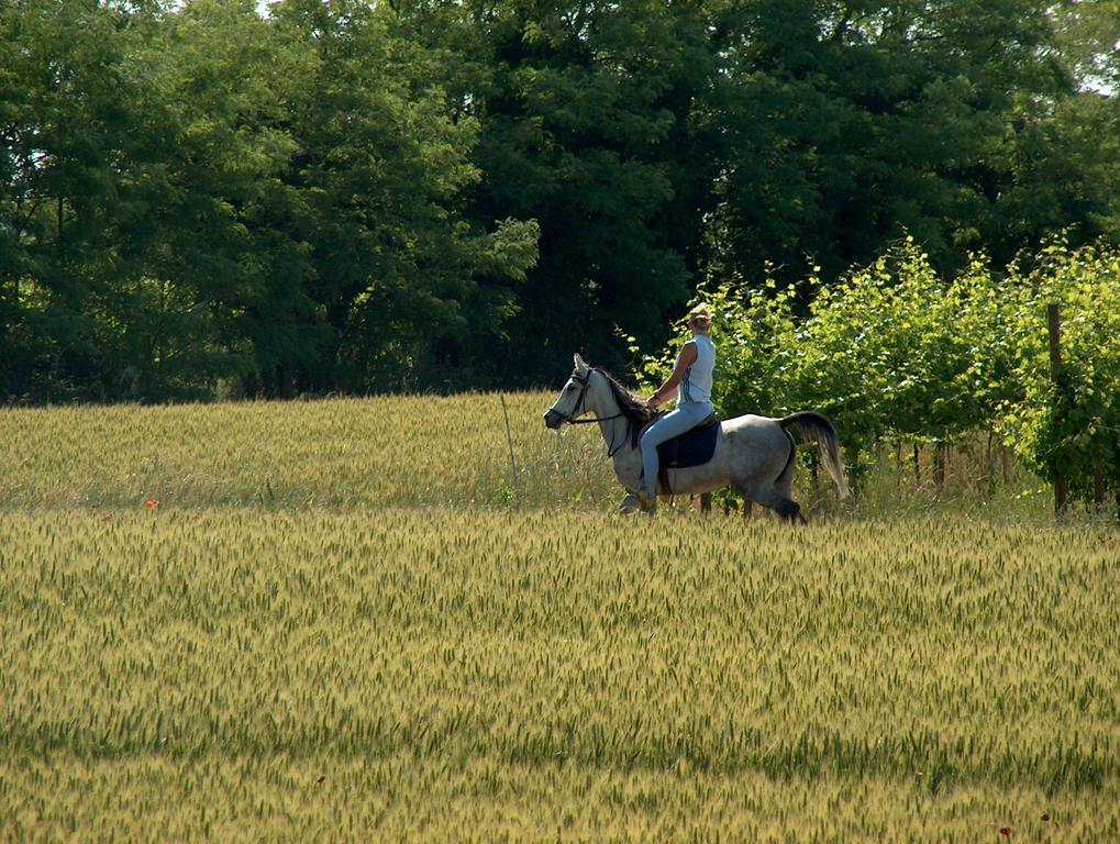 Le Fornase Vakantieboerderij *