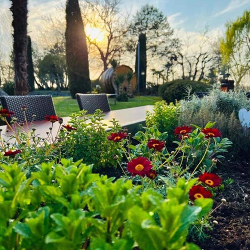 Agroturismo Le Fornase Castelnuovo del Garda